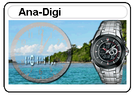 ANA-DIGI